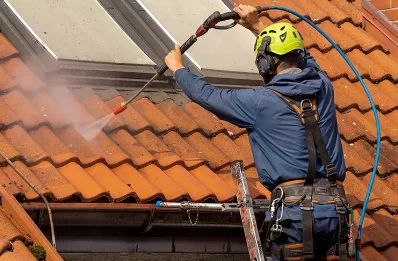 Démoussage et hydrofuge de toiture à Chessenaz